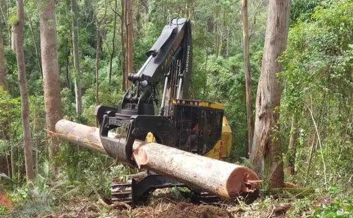 A forestry harvester machine handling a large log in a forest, illustrating the use of technology in sustainable timber harvesting practices.