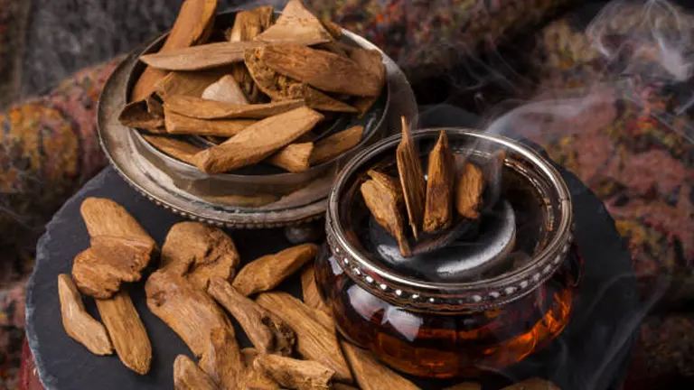 Aromatic wood chips in a metal container with smoke rising from them.