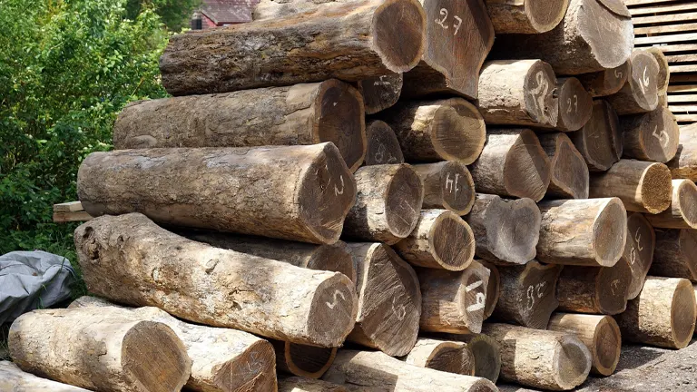 A stack of large, rough wooden logs arranged in a pile.