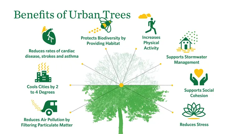 Benefits of Planting Trees