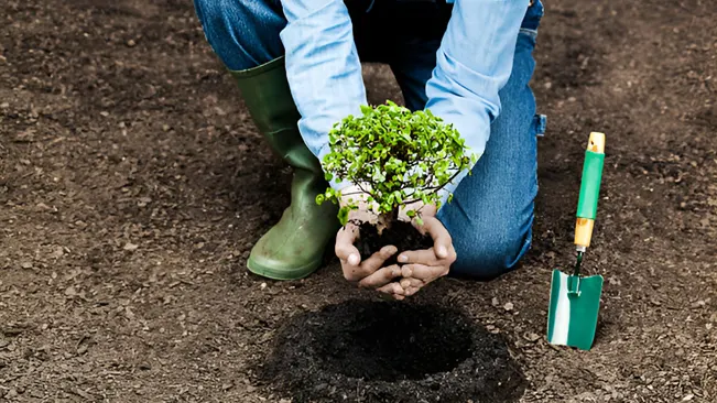 Person planting a small shrub as part of wildlife habitat restoration.







