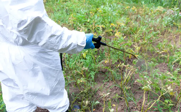 Person in protective clothing applying pesticide in a forest to control pest growth.