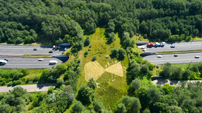 Aerial view of a wildlife corridor over a highway, enhancing habitat connectivity.