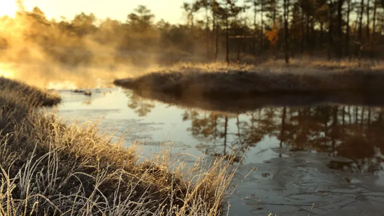 Sunrise over a misty wetland, showcasing ecosystem restoration with frost-covered grasses and reflecting water, symbolizing ecological and economic renewal.