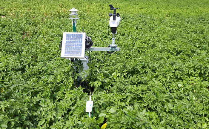 Solar-powered pest management station equipped with sensors in a lush potato field, showcasing modern agricultural technology.