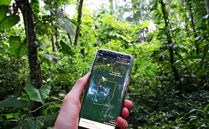 Hand holding a smartphone with a forest monitoring app, illustrating the use of technology in forest disease control.