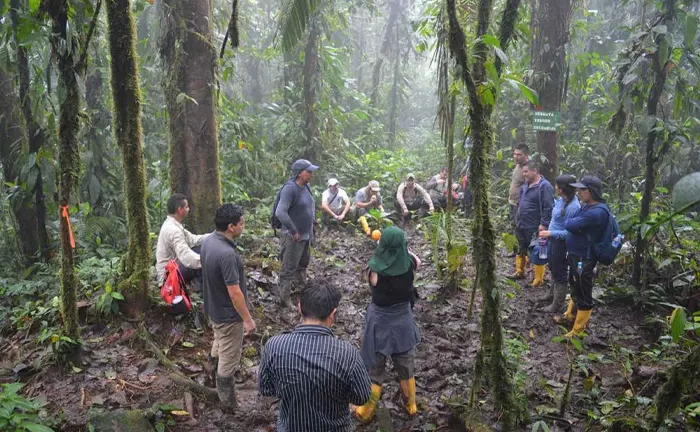 Group of forestry professionals attending a training session in a misty tropical forest.