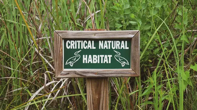 Sign reading "Critical Natural Habitat" in a protected wetland area.







