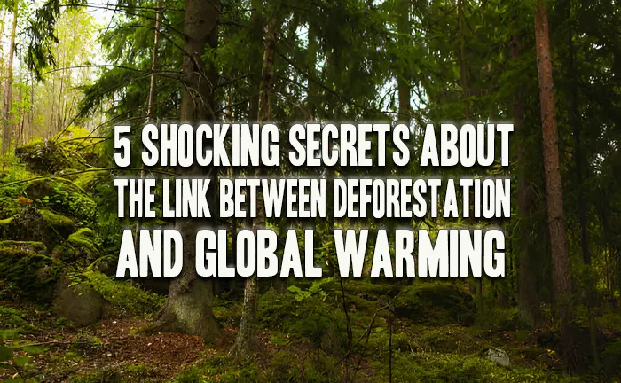 5 Shocking Secrets About Deforestation and Global Warming