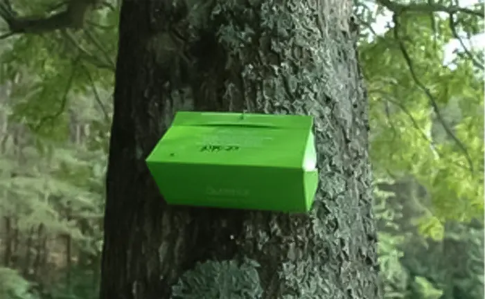 Green insect trap attached to a tree trunk in a forest.