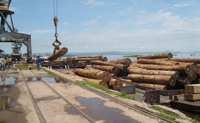 Logs being loaded onto a ship by crane at a dockyard.