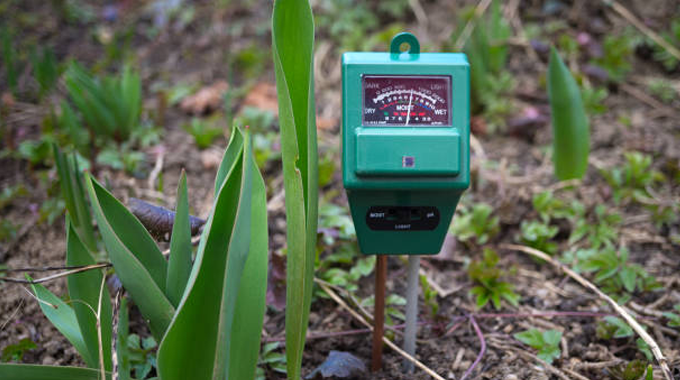 A soil moisture meter inserted into the ground among plants, measuring moisture levels to aid in monitoring soil conditions for optimal plant health and growth.