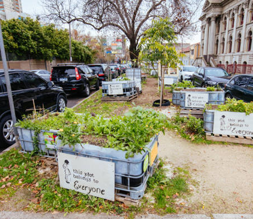 Urban community garden with raised planter boxes labeled "this plot belongs to everyone," located in a parking area with cars and city buildings in the background.