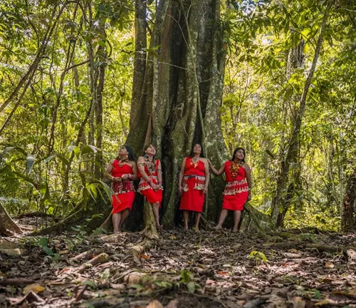 Women in traditional attire standing by a large tree, illustrating enhanced aesthetic and cultural value.