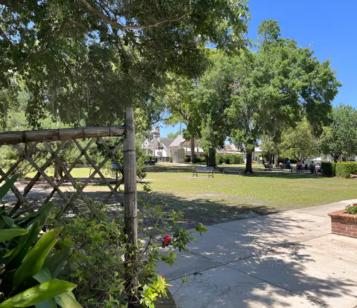 Trees and greenery in a park providing environmental benefits like shade and cooling.