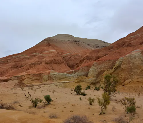 A barren landscape with visible signs of wind erosion affecting the soil.