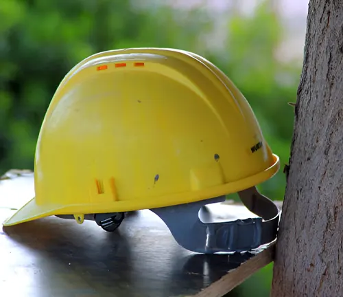 Yellow hard hat providing essential head protection for tree felling operations.