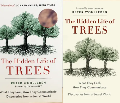 Cover of the book The Hidden Life of Trees by Peter Wohlleben, featuring interconnected trees.