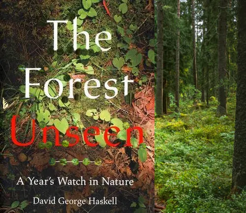 Cover of the book The Forest Unseen by David George Haskell, depicting forest floor vegetation.