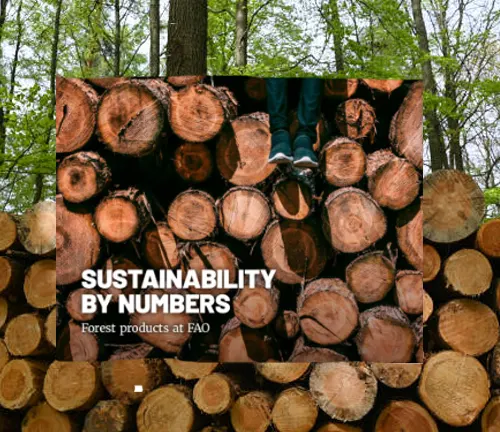 Cover of the report Sustainability by Numbers: Forest Products at FAO, featuring stacked logs in a forest setting.