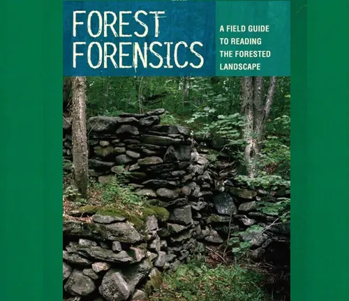 Cover of the book Forest Forensics: A Field Guide to Reading the Forested Landscape featuring a stone wall in a dense forest.