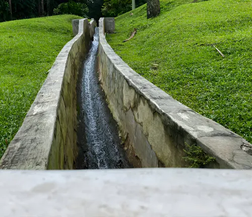 A constructed drainage system channeling water to prevent soil erosion in forestry areas.