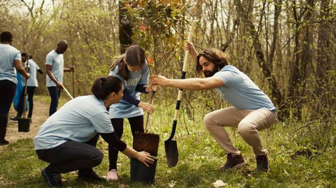 A group of volunteers planting trees in a forested area, participating in a community reforestation and conservation effort to promote environmental sustainability.