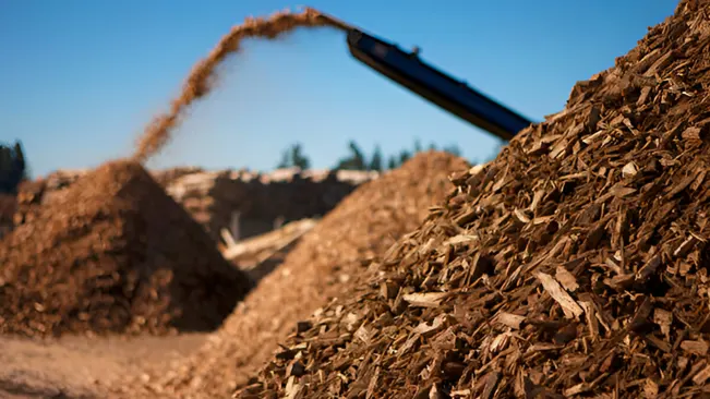 Wood chips being piled by a conveyor at a biomass facility under a clear sky.