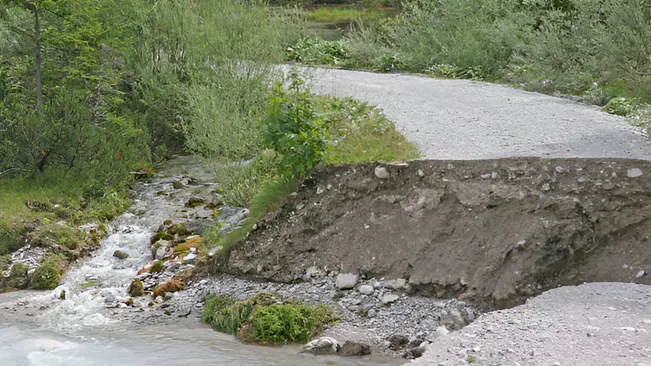 Forest road erosion showing significant environmental impacts from poor road management practices.