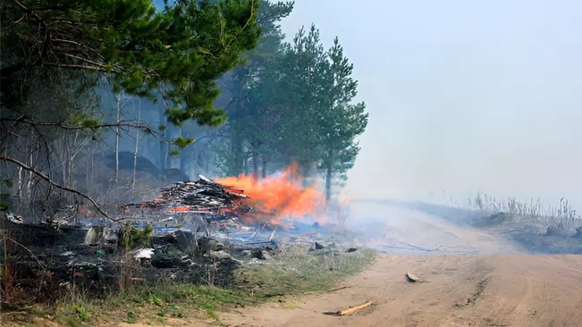 Forest road assisting fire management by providing access and acting as a firebreak.