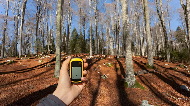 A person using a handheld device for early detection and monitoring in a forested area.