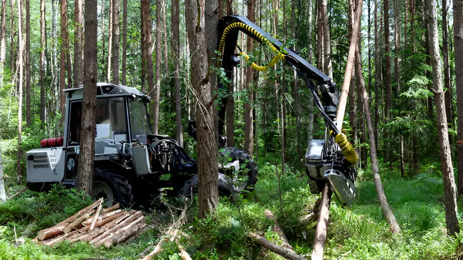 A forestry machine implementing tree thinning methods and techniques in a dense forest, selectively removing trees for better resource distribution.