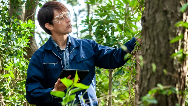 A forester planning a thinning operation by assessing tree health and conditions with a tablet.