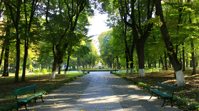 A shaded park pathway lined with trees, illustrating urban forestry benefits.