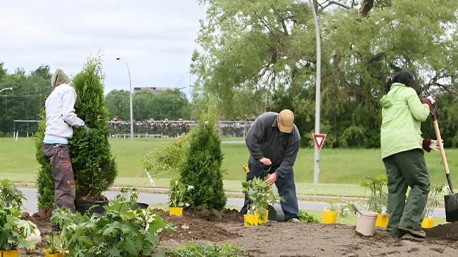 Community members planting trees and shrubs, illustrating key urban forestry practices.