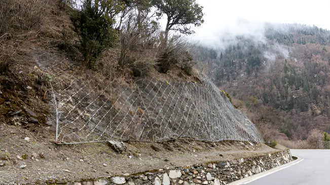 A hillside in a forest with netting to control soil erosion in forestry effectively.