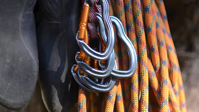 Close-up of colorful ropes and carabiners, essential rigging gear for safe tree felling operations.