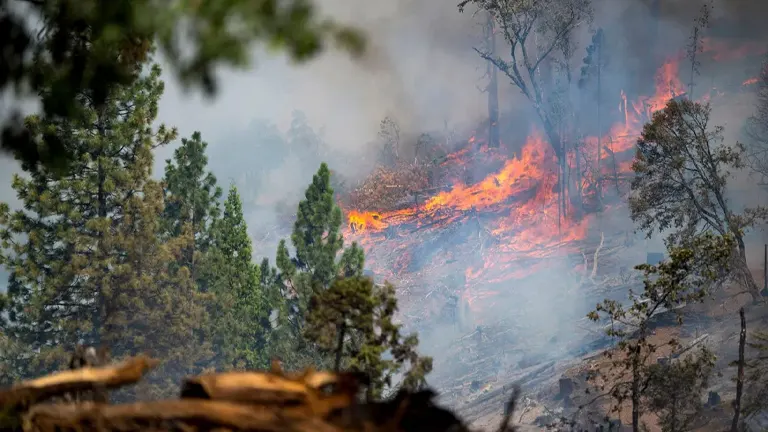 The Park Fire burns along Highway 32 near Forest Ranch
