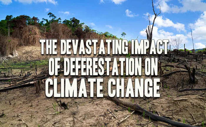 The Devastating Impact of Deforestation on Climate Change