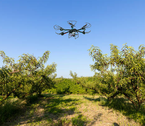 A drone flying over an orchard on a clear day, capturing images and data for agricultural monitoring and management.