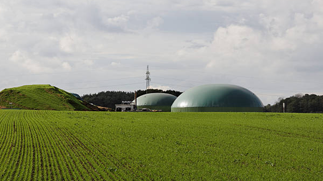 Green field with large dome-shaped biogas plant structures in the background, showcasing the role of renewable bioenergy in sustainable agriculture and energy production.