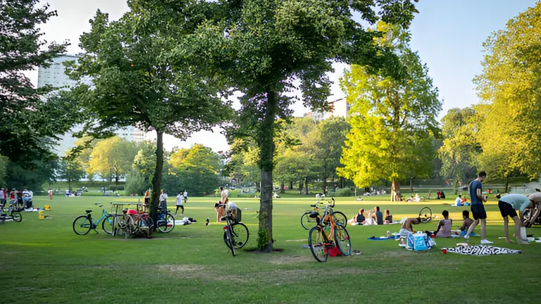 Urban Forestry: Creating Greener, Healthier Cities for the Future