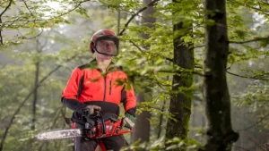 Essential Tree Felling Equipments for Safe and Efficient Logging Operations featured image