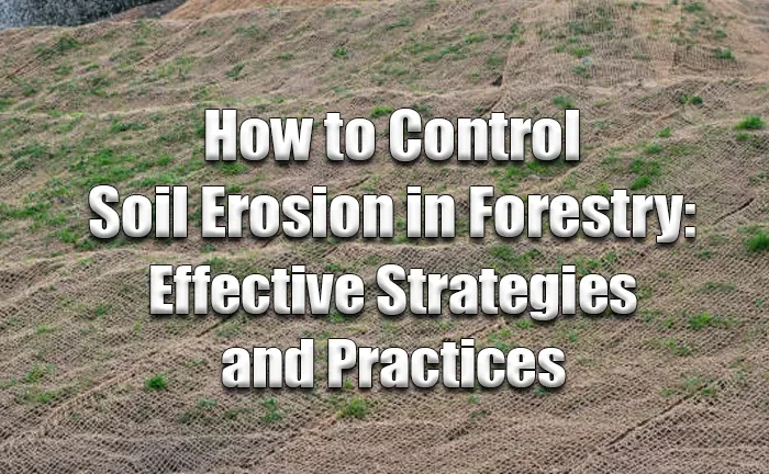 How to Control Soil Erosion in Forestry: Effective Strategies and Practices