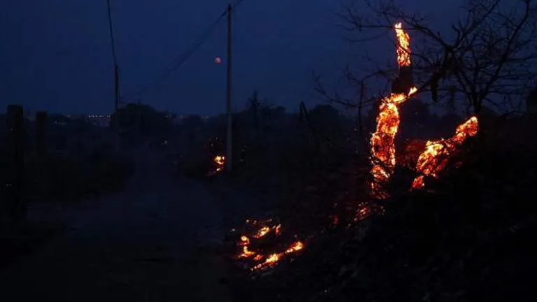 Southern France Battles Ongoing Forest Fires