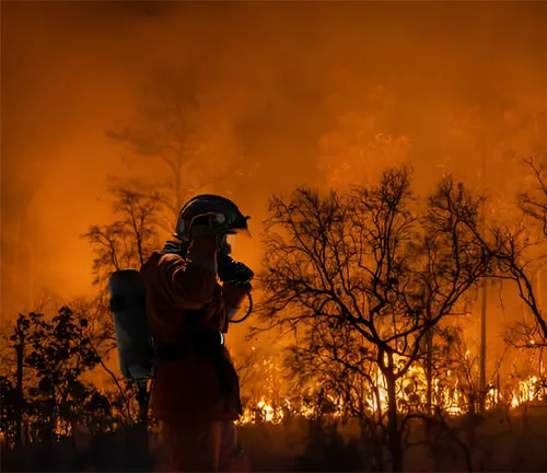 Firefighters battle a wildfire because climate change