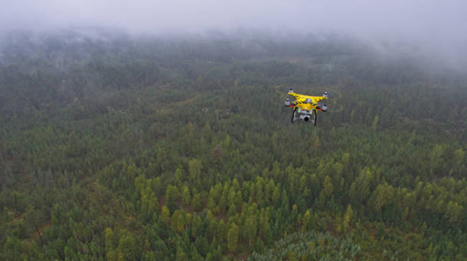 A drone flying over a dense forest under a misty sky, capturing aerial images for forest health monitoring.