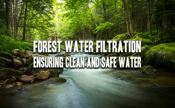 Forest Water Filtration: Ensuring Clean and Safe Water