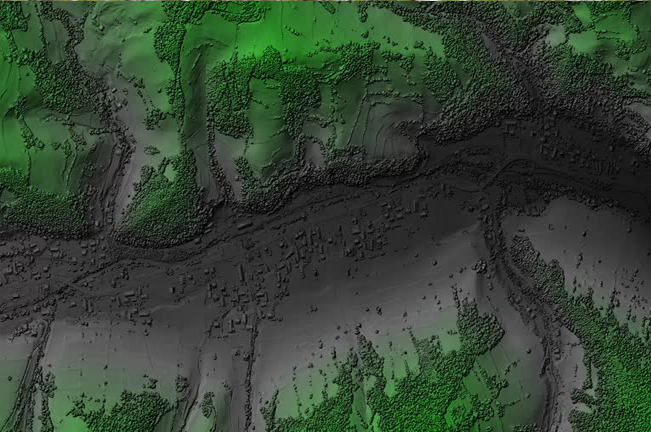 A detailed topographic map shows a forested landscape with varying elevations, depicted in shades of green and gray, highlighting terrain features and forest density. 