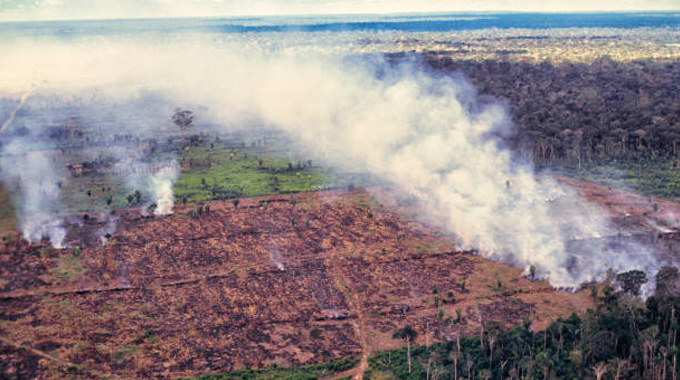 Aerial view of a large deforested area with multiple fires burning, releasing thick smoke into the air, highlighting the destructive practice of slash-and-burn agriculture in a rainforest region.